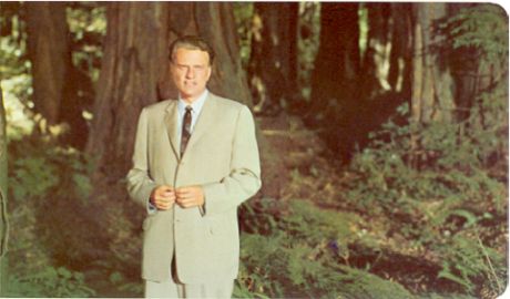 Graham in Redwood Forest